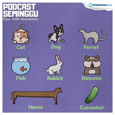 Episode Adit Insomnia