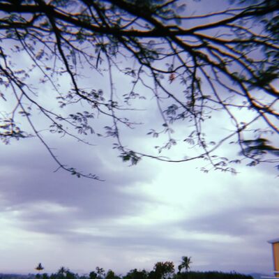 Membangkitkan Kenangan