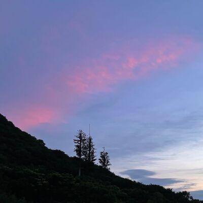 07｜群像聊天记录之“我们的25岁生日愿望”（下）