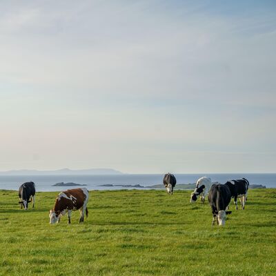 Planeta vivo - Renaturalizar el paisaje - 02/04/25