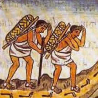 Meridiano Historia. T2X08 Las plantas en la conquista de America
