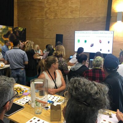 Snapshot - February 2020