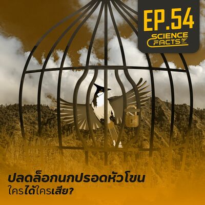 Science Facts EP.54 ปลดล็อกนกปรอดหัวโขน ใครได้ใครเสีย?