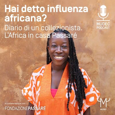 Diario di un collezionista. L’Africa in casa Passaré - Hai detto influenza africana?