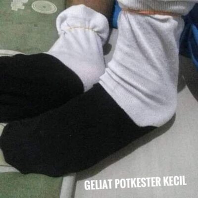 GELIAT POTKESTER KECIL