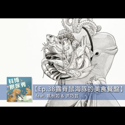EP.38  露脊鼠海豚的美食餐盤 feat. 姚秋如 & 洪巧芸 aka 解剖鯨豚面不改色的強者