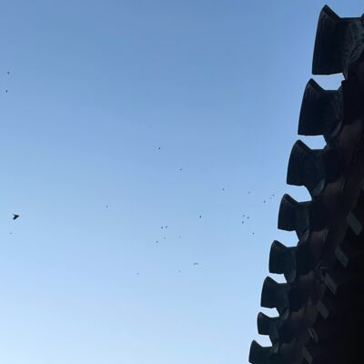 都市打工人的选择 ：上海 VS 北京