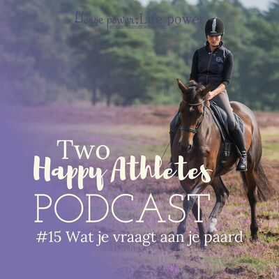 #15 Wat je vraagt aan je paard