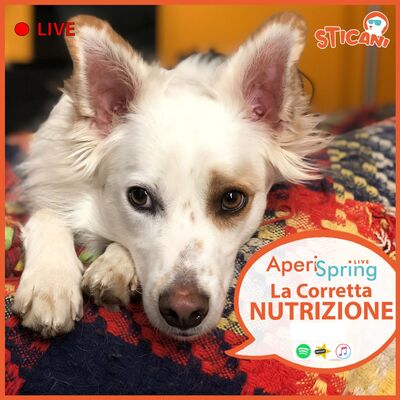 La Corretta Nutrizione di StiCani | AperiSpring LIVE