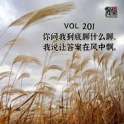 《聊什么聊》 Vol 201 你问我到底聊什么聊，我说让答案在风中飘