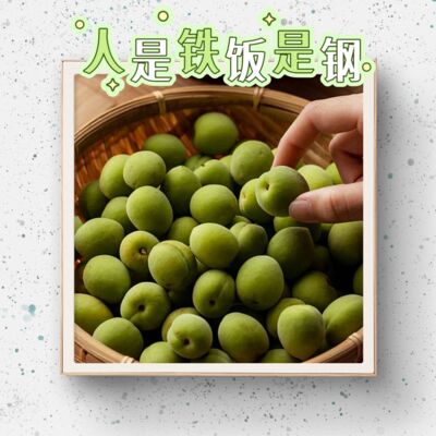 72｜梅子夏酿，醉美春光：从梅子酒爱好者到创业人的无悔踩坑之旅