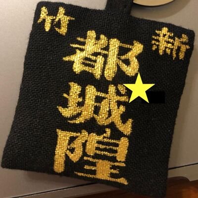 20歲ㄌ發現道士原來是火影忍者？我的守護星是北斗陰精巨門星君，來自麻瓜的提問時間！ft.青年道士 - Ep.4