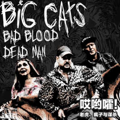 238「哎哟嚯！老虎、疯子与谋杀【3】总统梦？老虎债！天降救兵！爱人离去？」