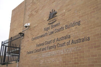 How family law courts deal with disputes over gender affirming hormone therapy for children