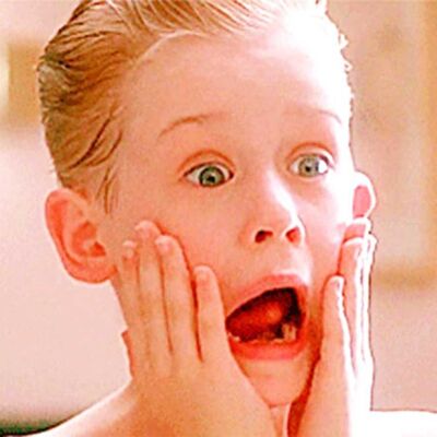 Home Alone Too
