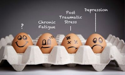 【支招心理学】龌蹉的心理咨询！让你看清自己的命运！