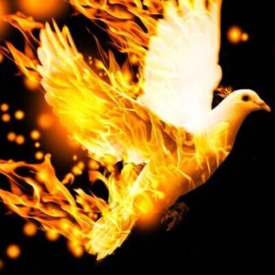 Il fuoco che brucia e non distrugge