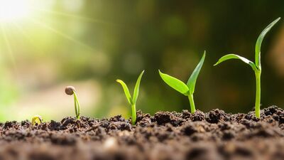 第 3 期: 漫谈写作和个人成长