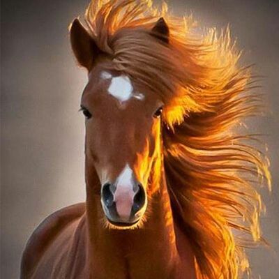 #4 Small Talk: Horseshit