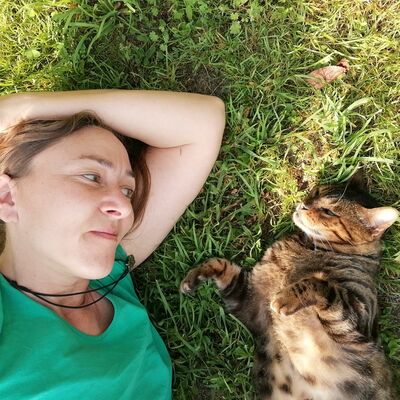 Épisode 44 - Faire jouer son chat adulte