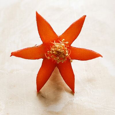 汇明赏析伯特兰.罗素的散文——我为何而生