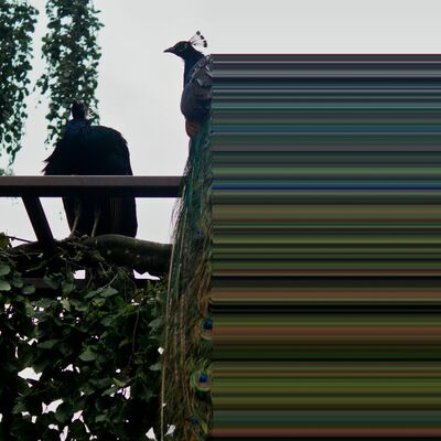 Aflevering 2 / Beaujolais Nouveau