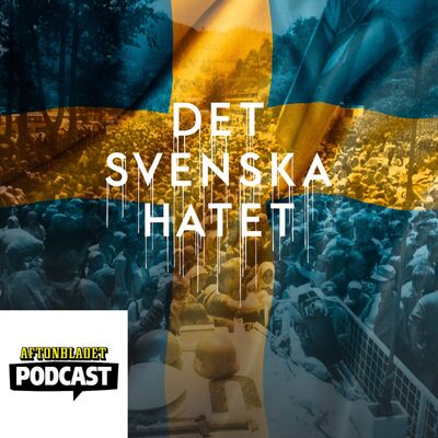 Del 11 Nya folkmord i Europa – då vill SD krossa flyktinginvasionen