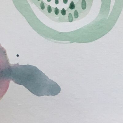 Buurtkruid 7. Sla 🥬 ‘opeens zag ik een blaadje krulsla door het gras heen…’ 