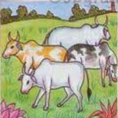 The Lion and The Cows