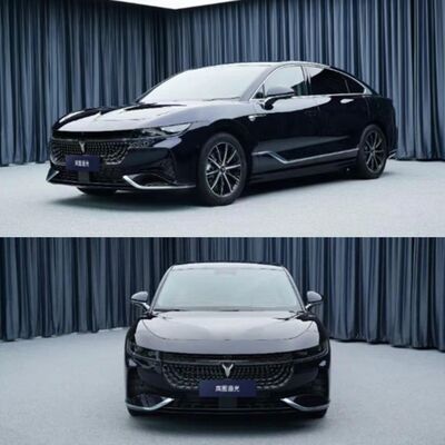 绿牌岚图追光现身 官方发话：要抢奥迪A6L、奔驰E级“饭碗”