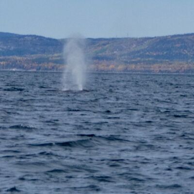 Bilan voyage au Québec