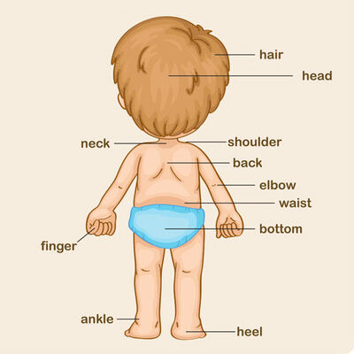 37 八大器官的“临终遗言”（下）