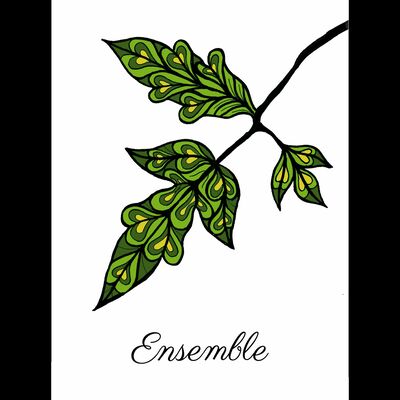 Presenting Ryan Martinez "Ensemble"