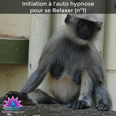 Initiation à l'auto hypnose pour se Relaxer (n°1)