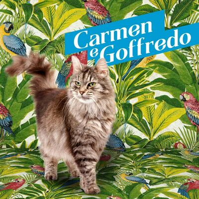 Carmen e Goffredo