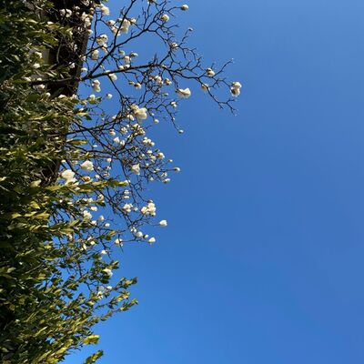 Il ritmo del respiro ( Aiuto per chi usa la mascherina)