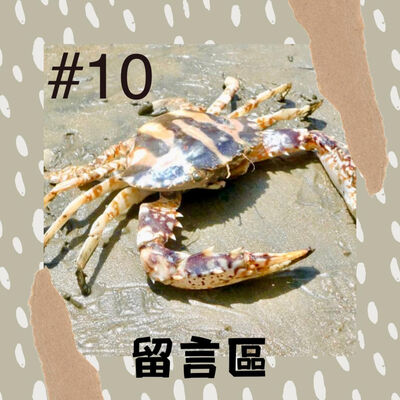 #10 螃蟹是橫著走還是直著走？ 