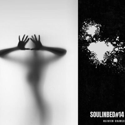 SouLInBeD Vol 14 Unmixed