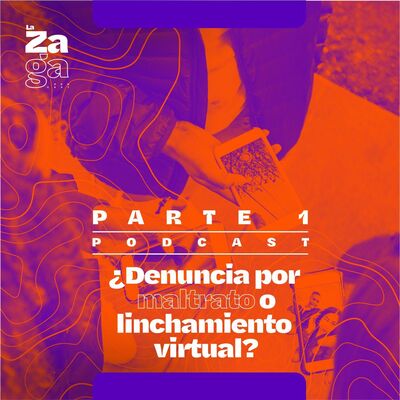 Parte 1: ¿Denuncia por maltrato o linchamiento virtual?
