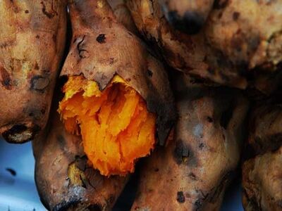 互联网思维卖红薯效果显著，模块化飞机让人脑洞大开 20160119