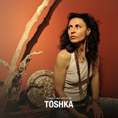 ><><><>< Toshka
