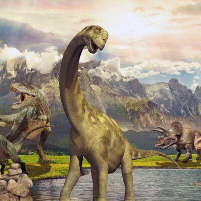 Giacomo Mazzariol, mio fratello rincorre i dinosauri