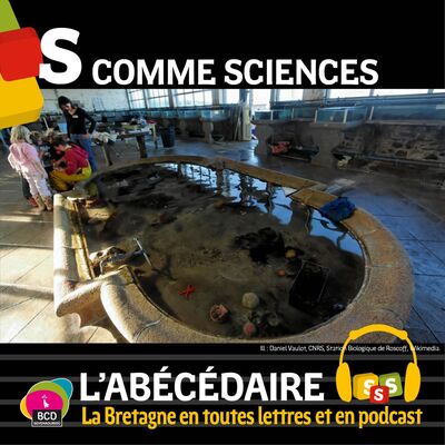 Episode 28 S comme Science, de la station biologique de Roscoff aux collections naturalistes de l'université de Rennes