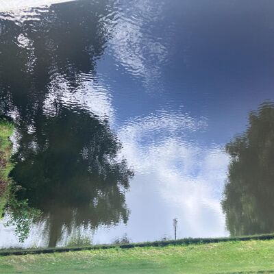 ronald lammers bespiegelingen deel 2