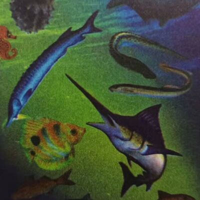 海底两万里第二部第7章地中海上的四十八小时