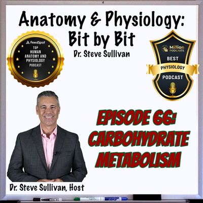 Carbohydrate Metabolism/Dietary Recommendations - Episode 66