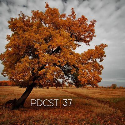 |FC PODCAST 037| MARCO D'ANGELO