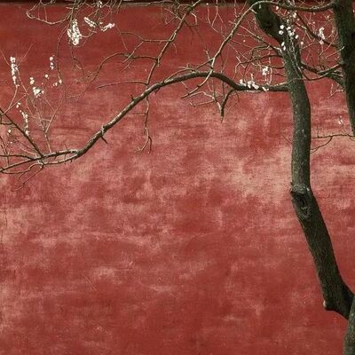 让高育良入套的《万历十五年》究竟写了什么？