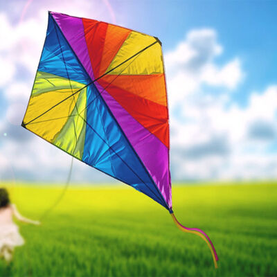 Pascoli - L’aquilone (dai Poemetti).