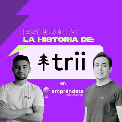 Recibir inversión, sobrevivir a una crisis y volverse rentable | La historia de trii (parte 2)